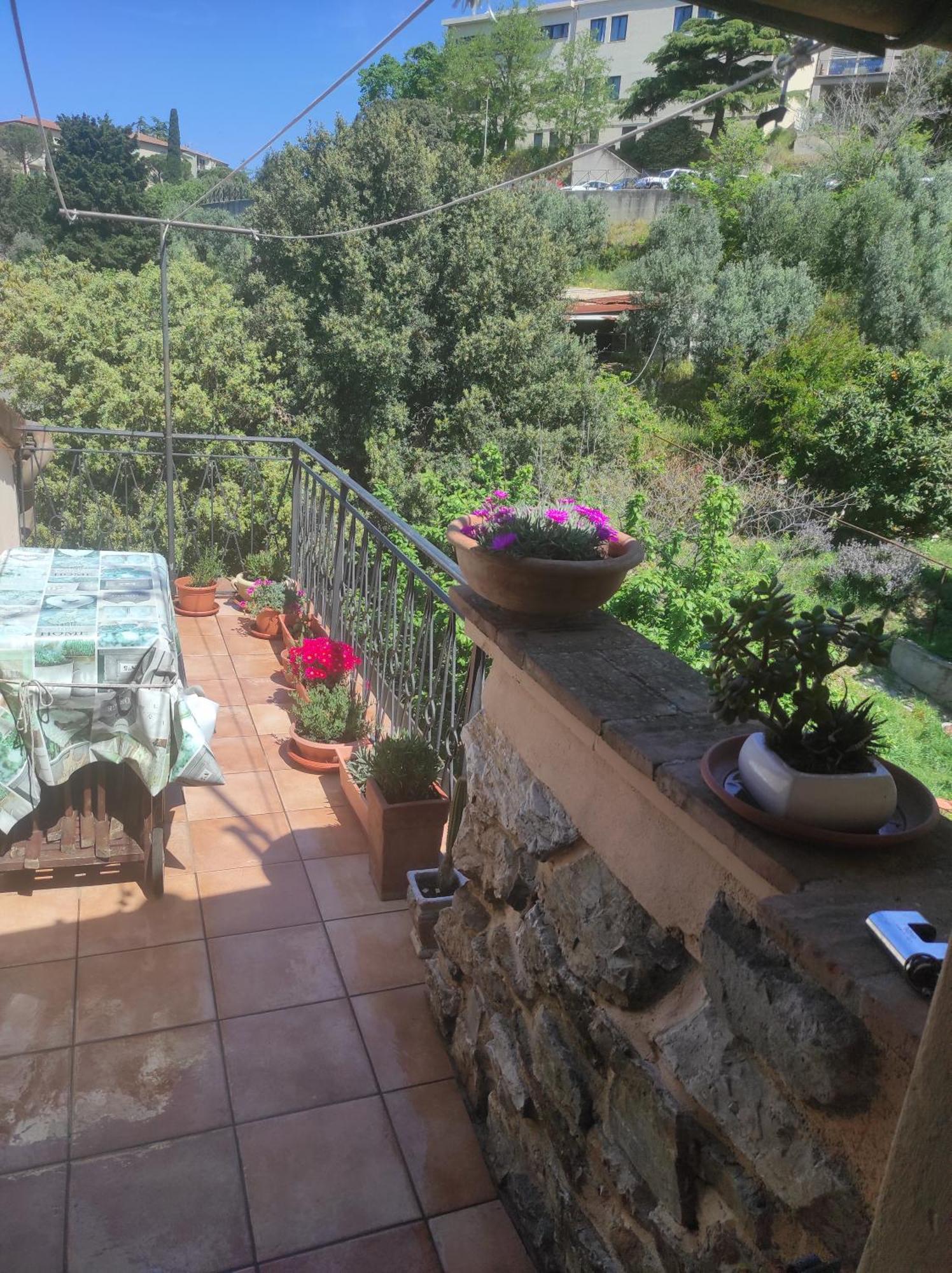 Casa Dei Nonni 57021 Apartment Campiglia Marittima Exterior photo